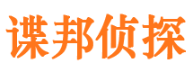 北湖侦探公司